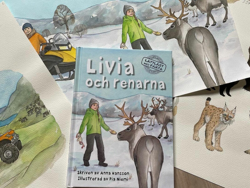 Om renar och renskötsel Om renar och renskötsel